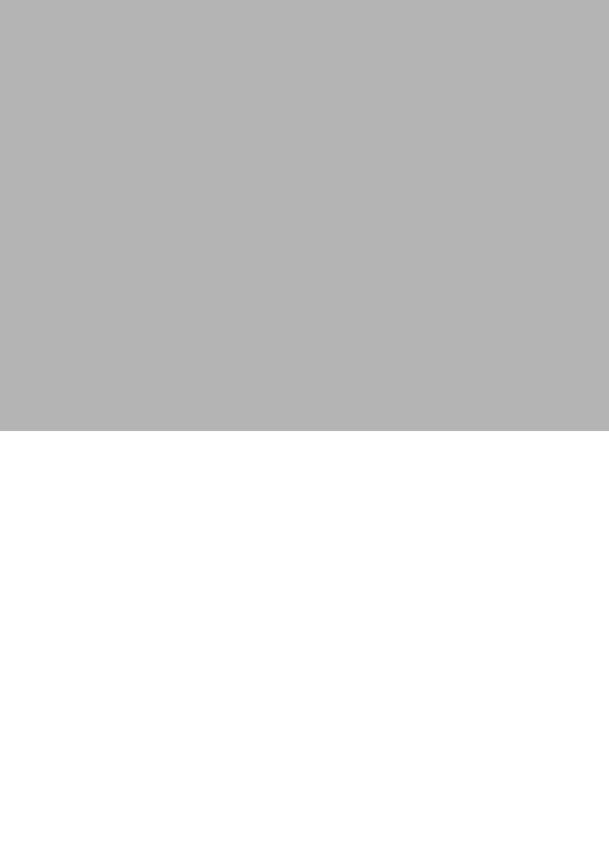 1/2 page (horizontal)