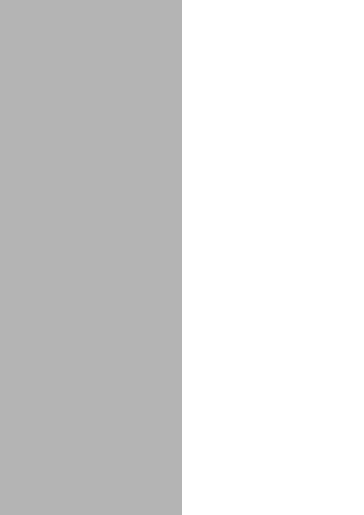 1/2 page (vertical)