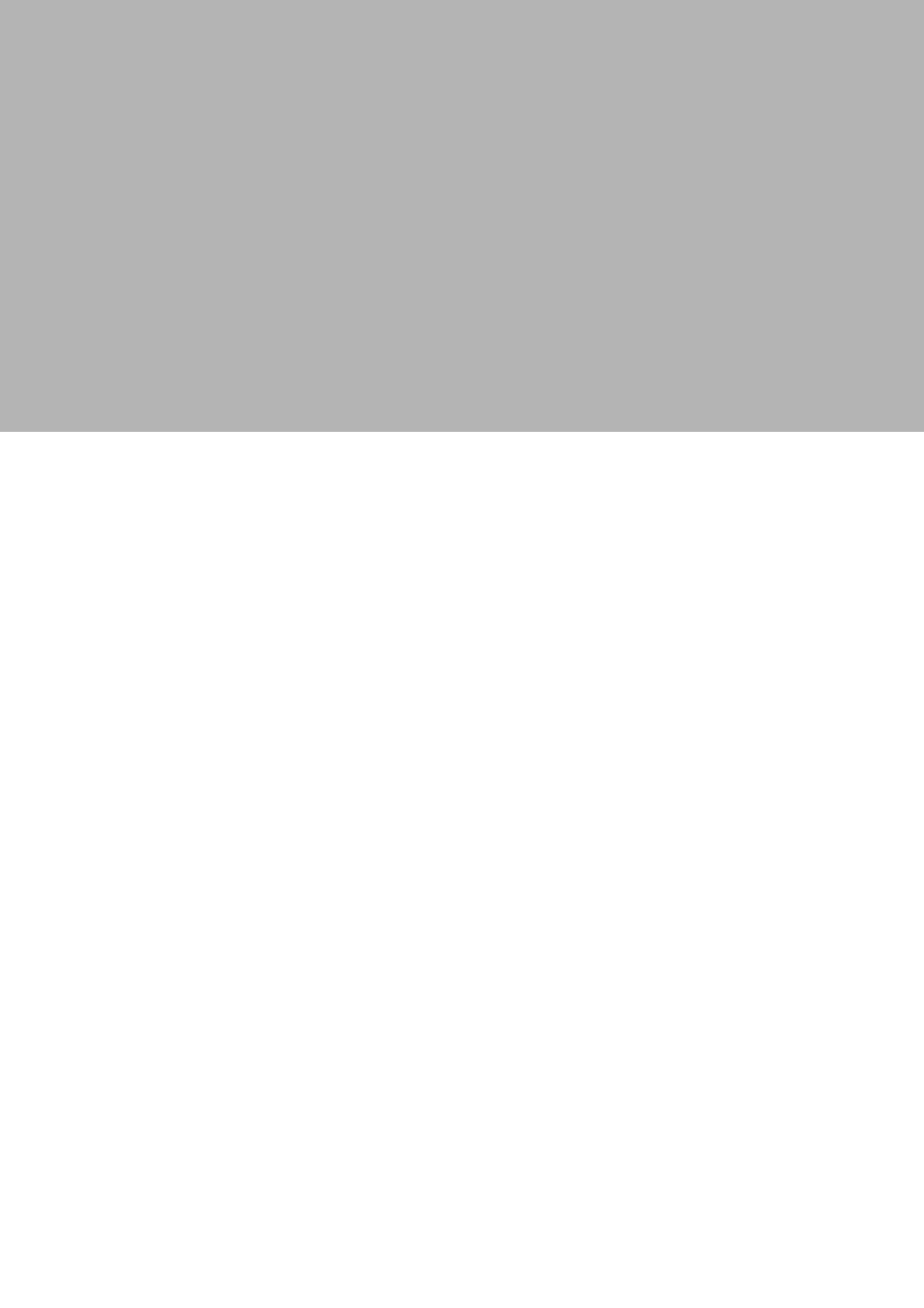 1/3 de page (horizontal)