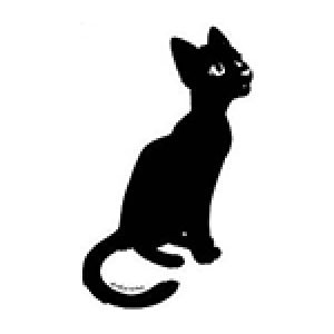 Noël d’un chat noir
