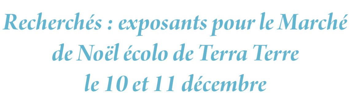 Recherchés : exposants pour le Marché de Noël écolo de Terra Terre