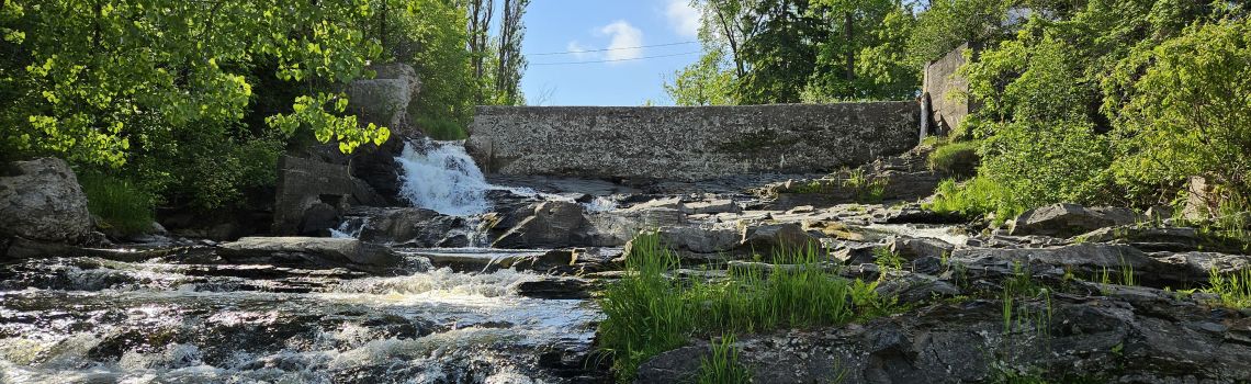 Destruction programmée  du barrage de la rivière Trois Saumons :  un pas vers la préservation environnementale