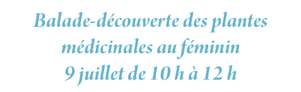 Balade-découverte des plantes médicinales au féminin
