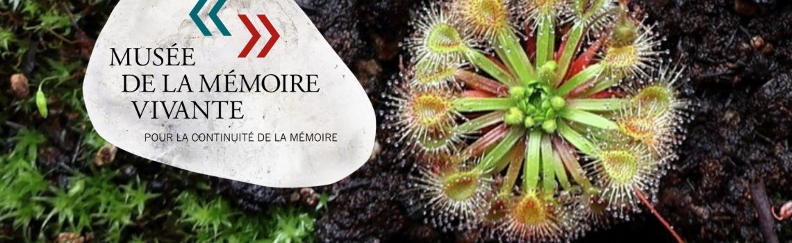 Les plantes carnivores démystifiées avec Paolo Pipia au Musée de la mémoire vivante