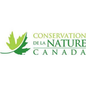 Ce printemps, Conservation de la nature Canada vous propose des façons d’aider la nature Donnez un « coup de pouce vert » aux espèces indigènes dans votre voisinage