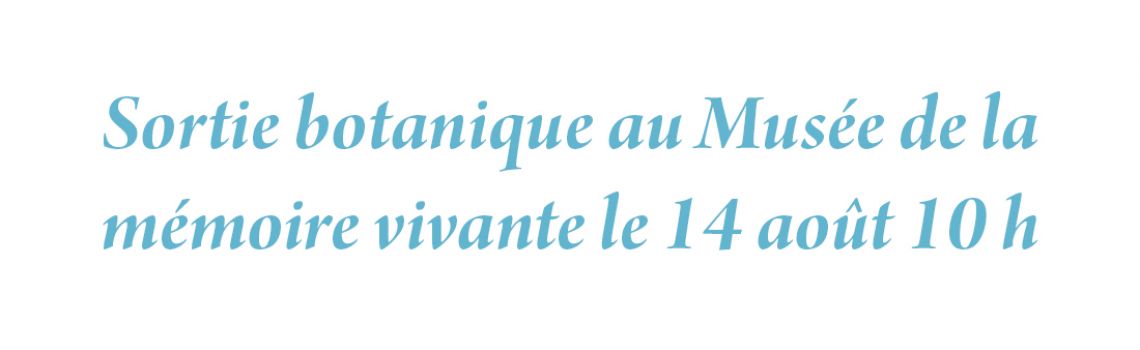 Sortie botanique au Musée de la mémoire vivante